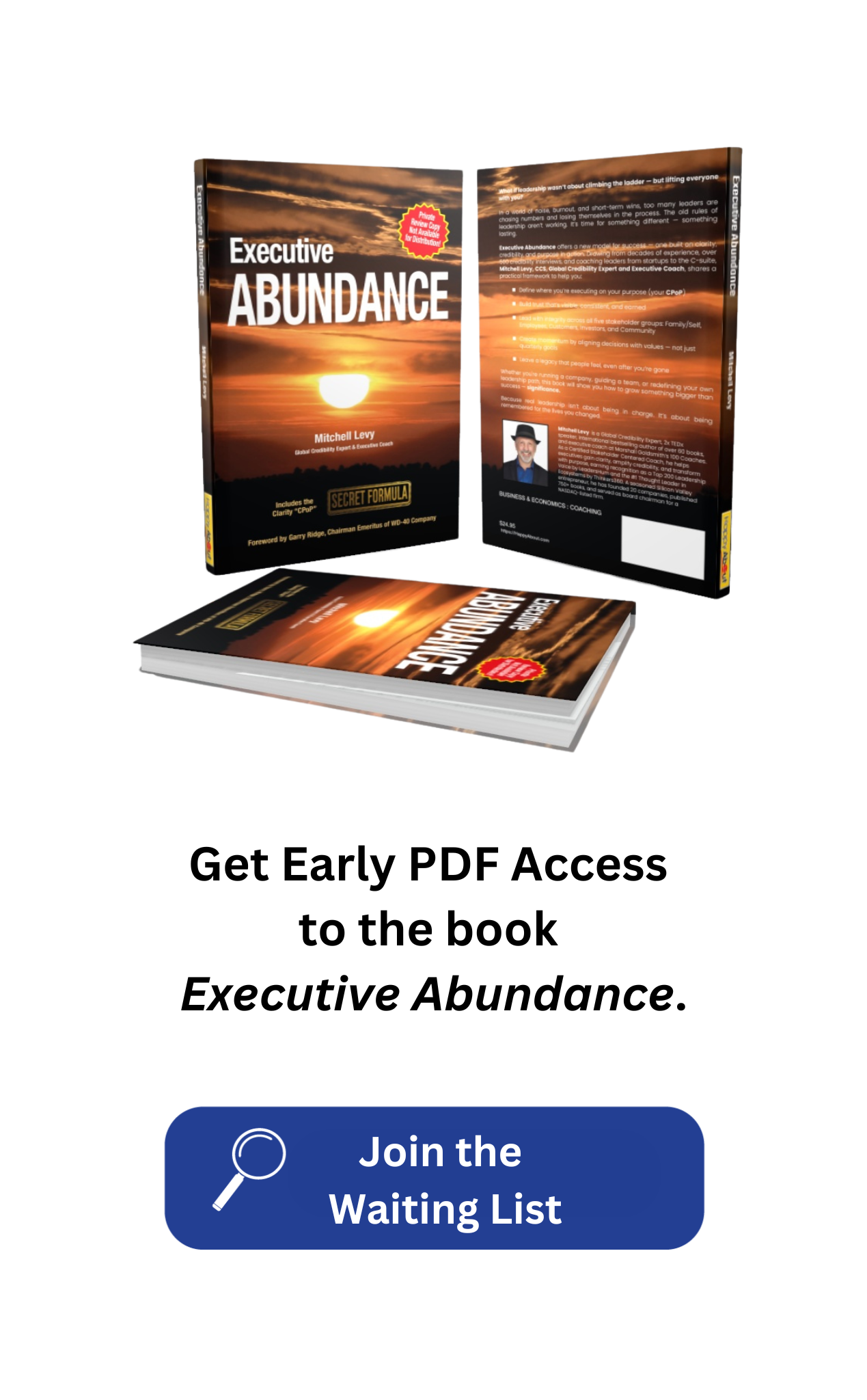 The book "Executive Abundance" with a sunset on the cover.